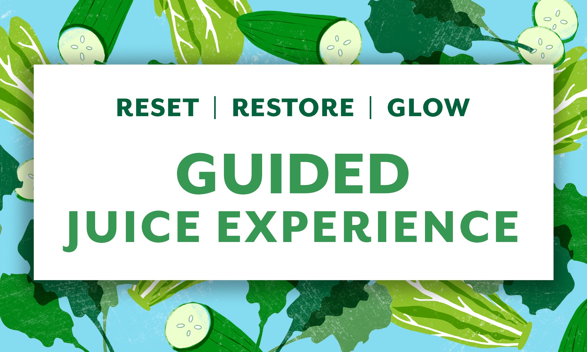 Guided Juice Experience Course + Workbook [no juice shipment]